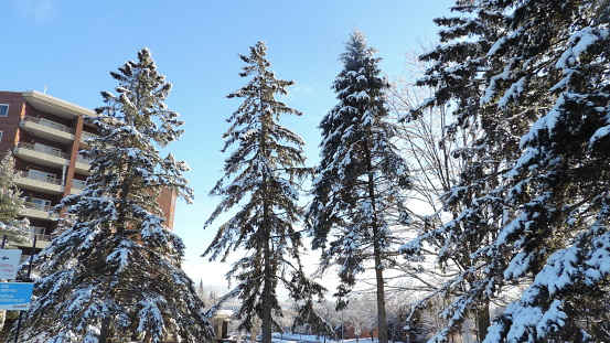 Winter day in Quebec