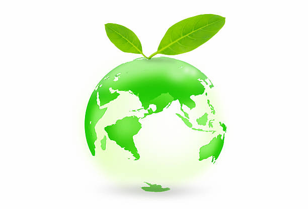 istock 3d earth with green leafs over white background 183615957
