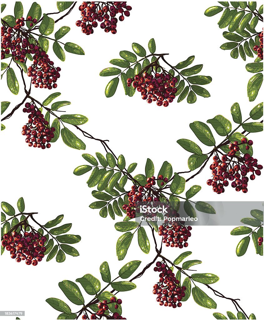 Ashberry ramo Seamless Pattern con foglie e frutti di bosco - arte vettoriale royalty-free di Albero