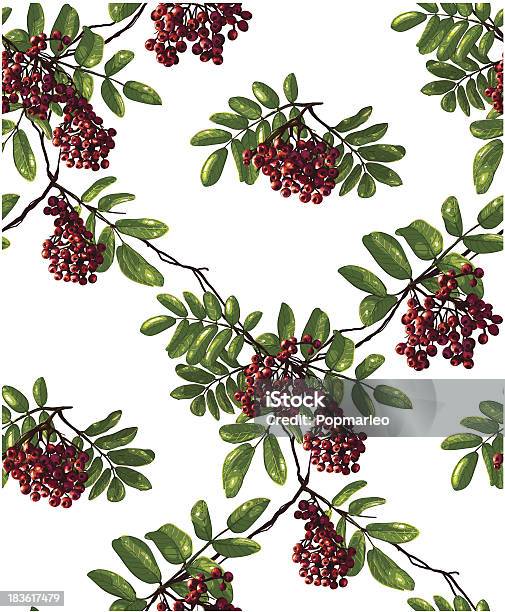 Ashberry Ramo Seamless Pattern Con Foglie E Frutti Di Bosco - Immagini vettoriali stock e altre immagini di Albero