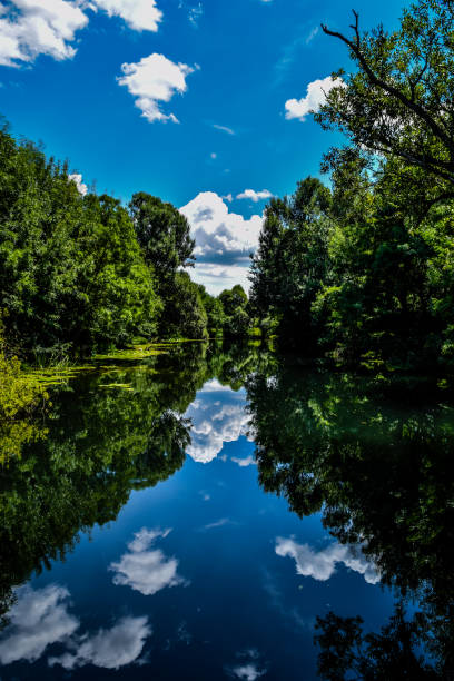 istock Water trail in a swamp 1836180229