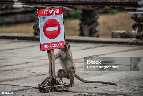 Monkey Playing Having Fun With No Access Sign Ankor Wat Stock Photo - Download Image Now