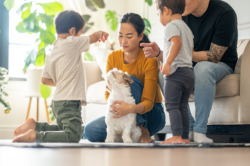 a small Asian family of four, welcomes a new pet into their house through adoption.  They are each dressed casually and are down on the floor as they greet their new family dog.
