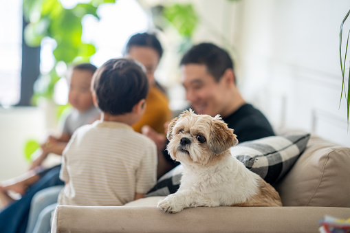 A small Asian family of four relax at home with their dog.  They are all seated on the sofa and are snuggling in close to one another as they spend time together.