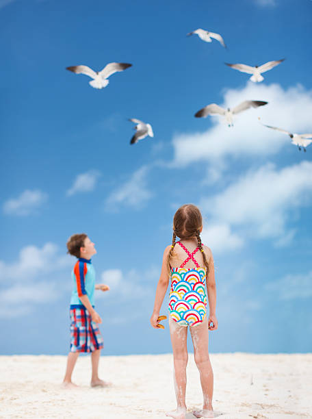 istock Kids and seabirds 183623570