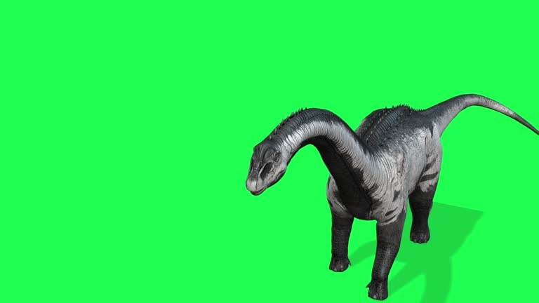 animation - Brachiosaurus herd, sauropod walking in search of food on Green Screen