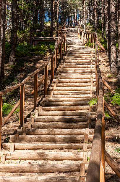 istock Wooden stairs in forest 183628657