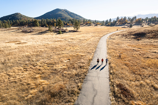 Breathtaking aerial view captures the serene beauty of a fir tree filled clearing along Julian's Stonewall Mine Trail in Cuyamaca Rancho State Park. Three individuals are walking on the road surrounded by majestic tall trees, framed by the distant mountains and open sky