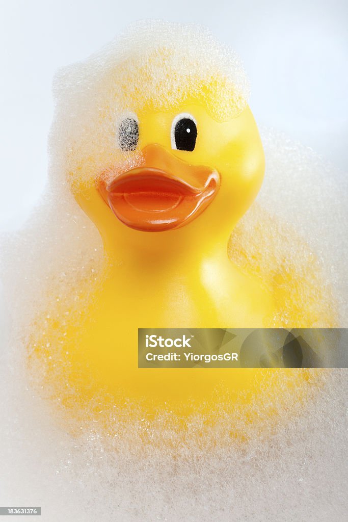 Rubber duck in the bath tub Rubber duck in the bath tub with soap foam Animal Stock Photo