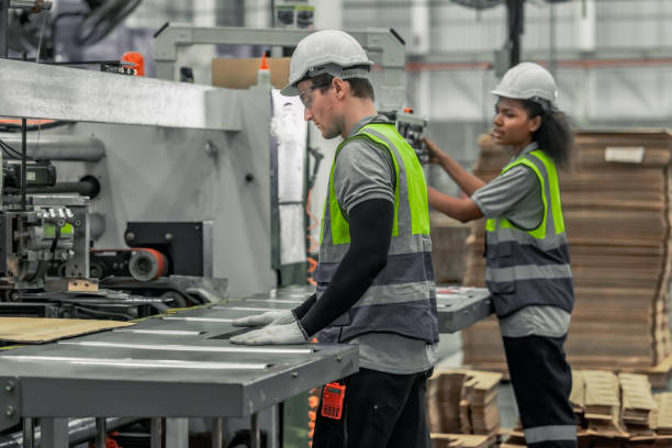 istock Technician ensures machinery stays regular, inspect error for smooth operations in cardboard factory 1836326825