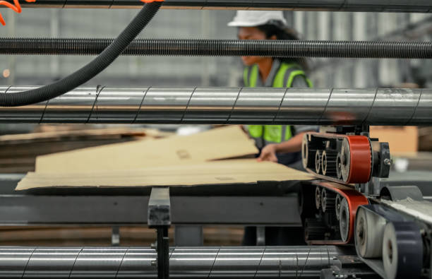 Technician ensures machinery stays regular, inspect error for smooth operations in cardboard factory
