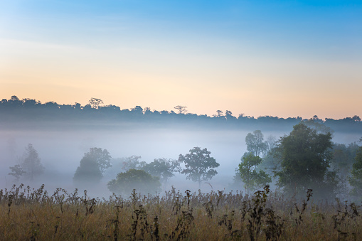 The morning mist interspersed with the mountain range look layered at Phu Khiao National Park