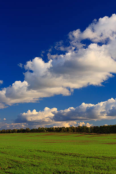 Bellissimo campo - foto stock