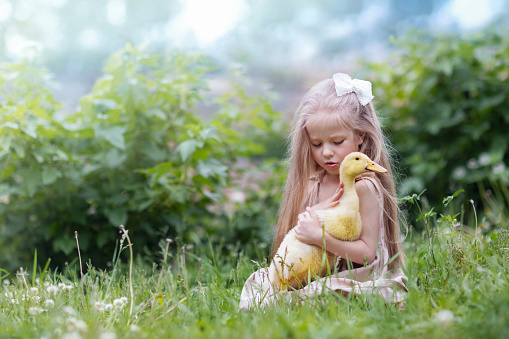 A beautiful little girl with a duckling in her arms is sitting in a clearing