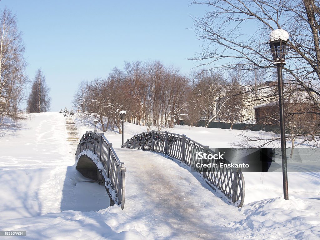 A ponte no parque - Royalty-free Agricultura Foto de stock