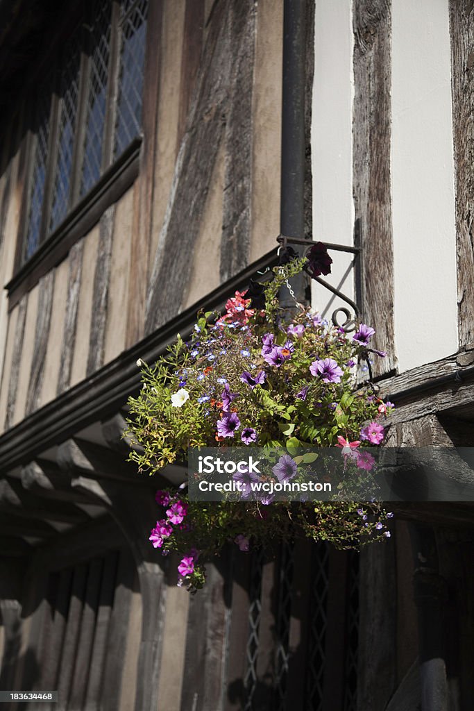 Vaso appeso fuori il Tudor House - Foto stock royalty-free di Ambientazione esterna