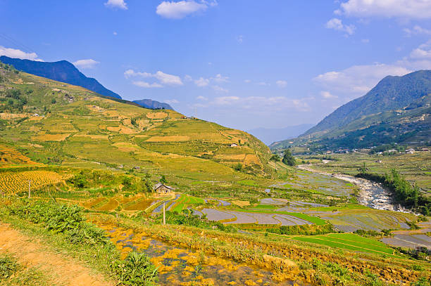 istock Sapa highland, Vietnam 183636102