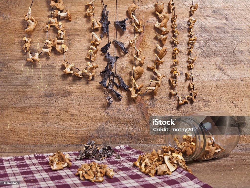 Wild Edible Mushroom Still Life A still life of dried and drying wild mushrooms with copy space. Autumn Stock Photo