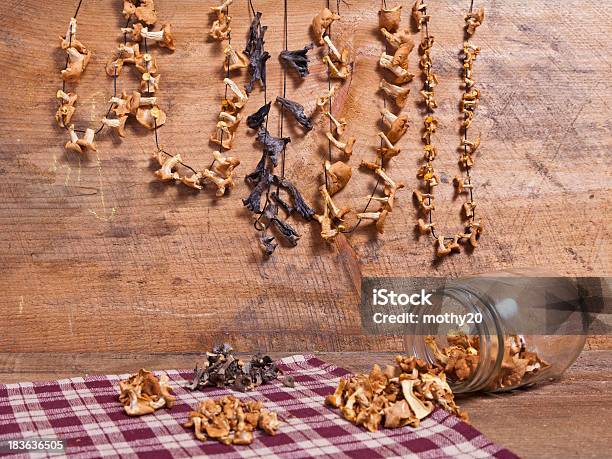 Wild Edible Mushroom Still Life Stock Photo - Download Image Now - Autumn, Black Trumpet, Copy Space