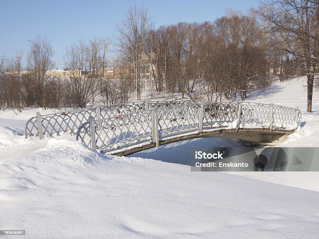 Il ponte nel parco - Foto stock royalty-free di Albero