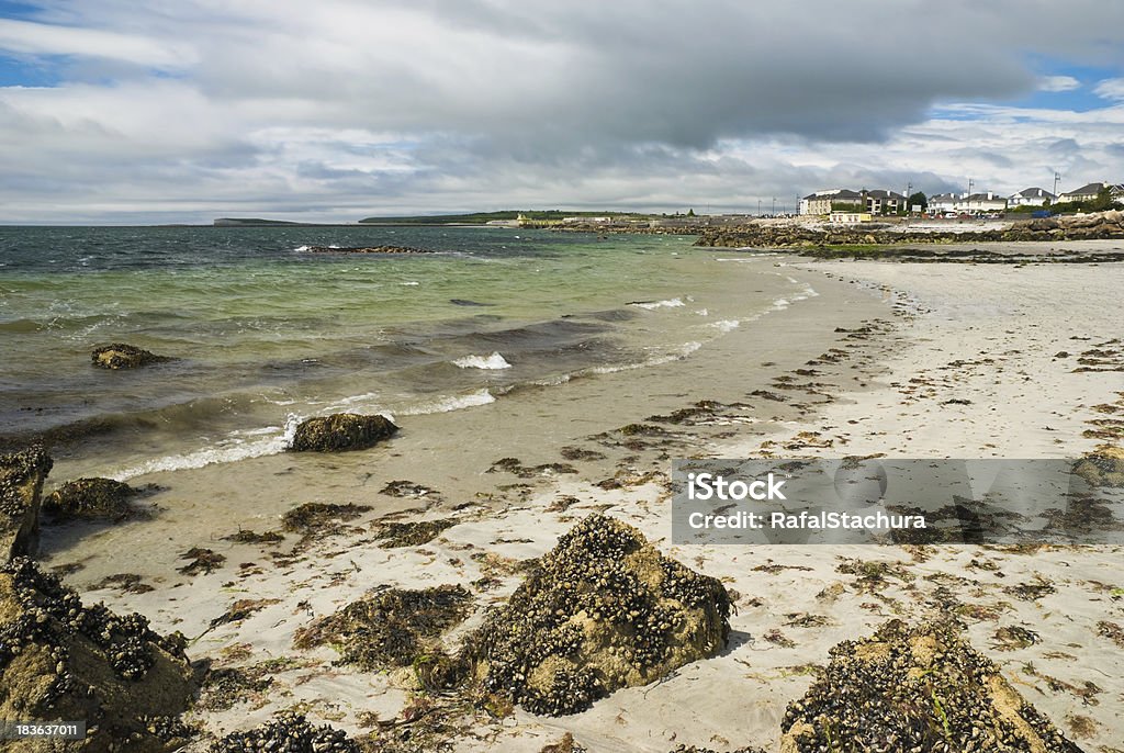 Praia de Galway - Royalty-free Alga Foto de stock
