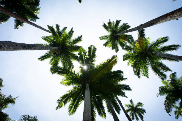 istock Rio Travel Photos 1836372994