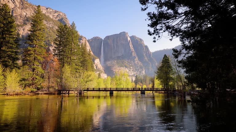 Merced River and Yosemite Falls In Yosemite National Park