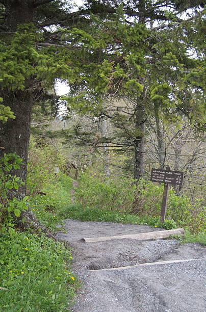istock Appalachian Trail Head, Tennessee 183640019