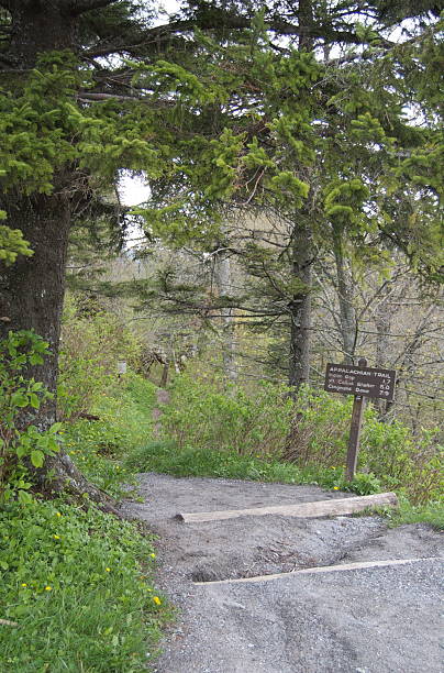 , tennessee szlak appalachów głowy - appalachian trail sign dirt road footpath zdjęcia i obrazy z banku zdjęć