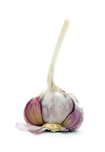 garlic fresh garlic isolated on white background acrid taste stock pictures, royalty-free photos & images