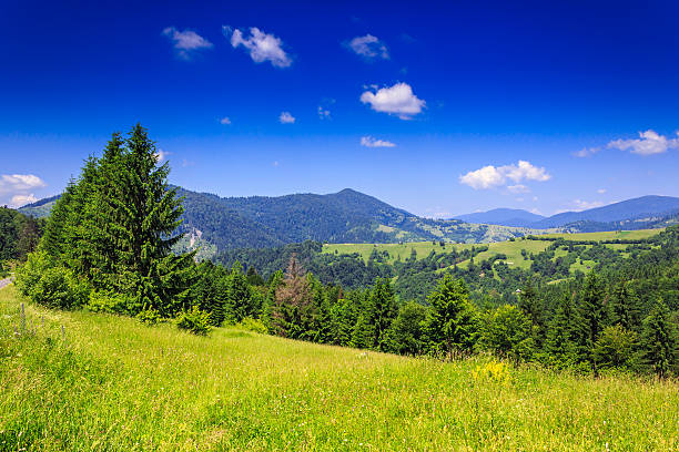 istock mountain view from green meadow in summer 183641984