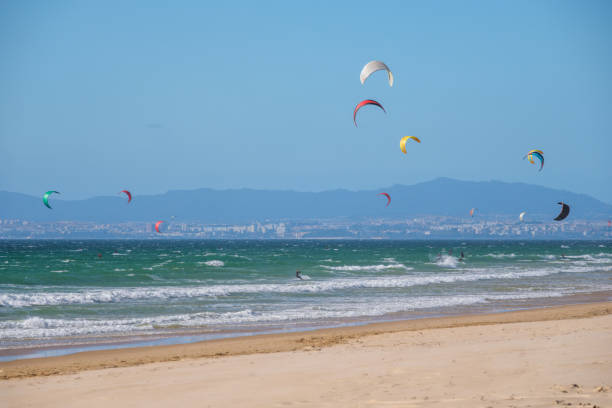 istock Kiteboarding kitesurfing kiteboarder kitesurfer kites on the ocean beach 1836422310