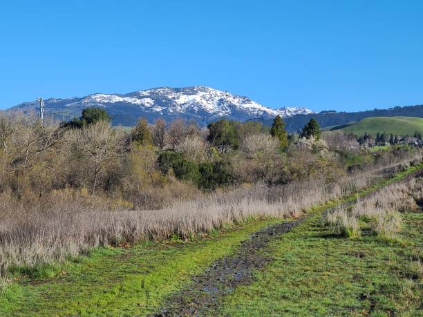 カリフォルニア州サンラモンのディアブロ・ビスタ・トレイルにある雪に覆われたディアブロ山の眺め - mt diablo state park ストックフォトと画像