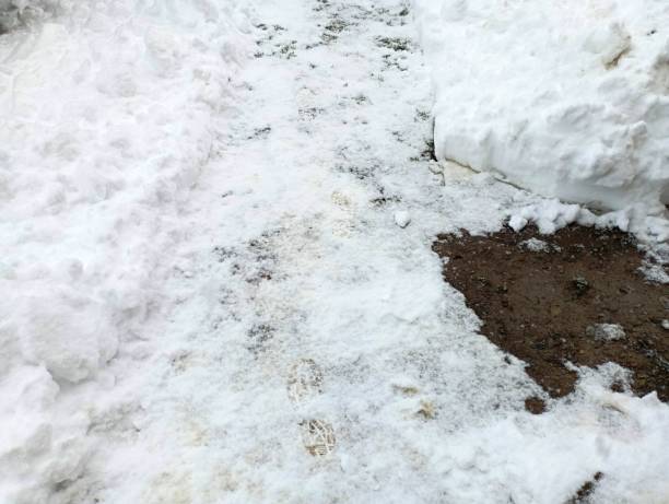 istock Shoveled snow on the path. A path was made on the snow-covered pavement. Severe weather conditions. 1836553639