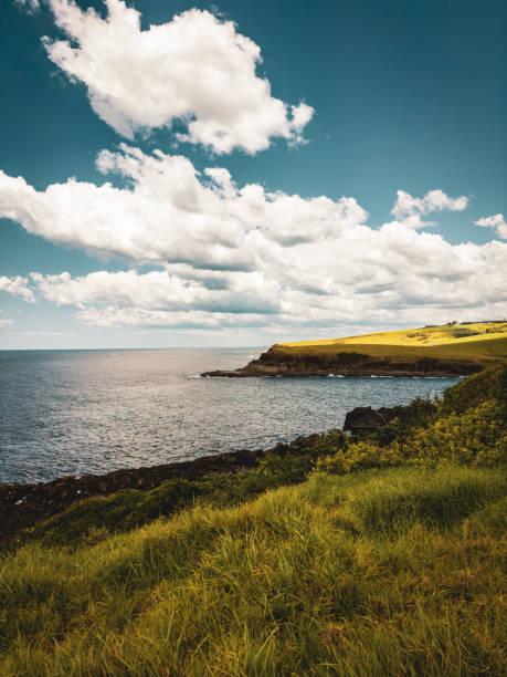 Beautiful View, Kiama, Australia. NSW