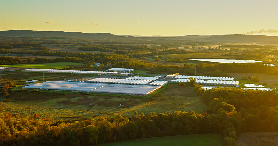 Aerial shot of greenhouses at a plant nursery surrounded by farmland in Montour County, Pennsylvania at sunrise on a clear morning in Fall.