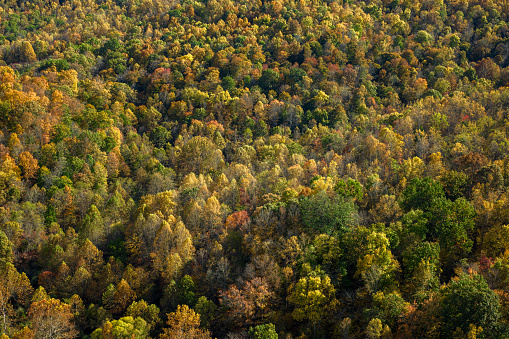 Aerial shot of forested mountains near Frametown, a small town in Braxton County, West Virginia, on a sunny day in Fall.