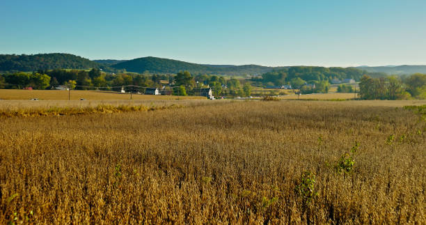 Low Drone View Over Fallow Field Towards Country Road