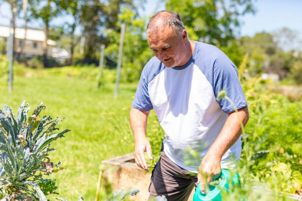 istock Man watering plants in a community vegetable garden 1836674839