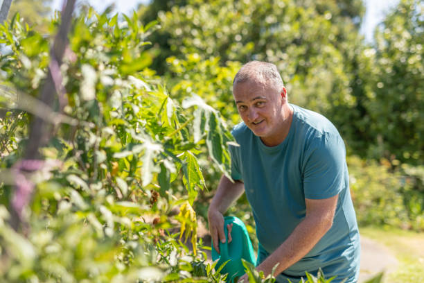 istock Man watering plants in a community vegetable garden 1836674848