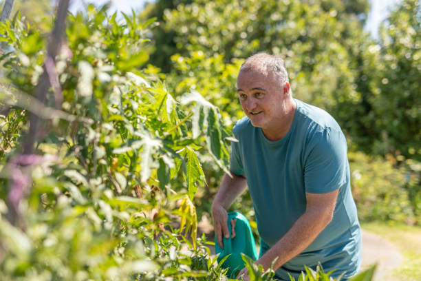 istock Man watering plants in a community vegetable garden 1836674858