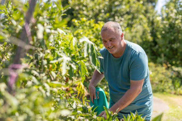 istock Man watering plants in a community vegetable garden 1836687486