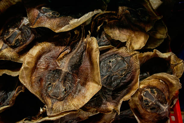 istock Close up of dried stingrays 1836693318