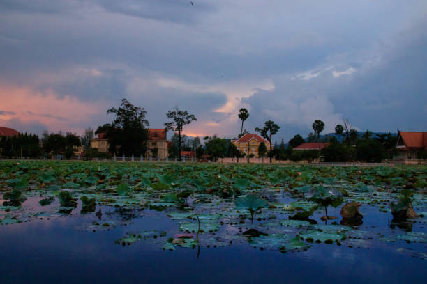Srah Chhouk or Lotus Pond during the dusk