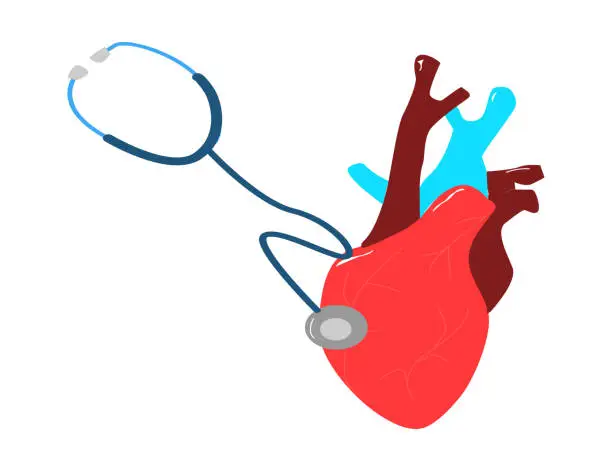 Vector illustration of a human heart with stethoscope in a cartoon style