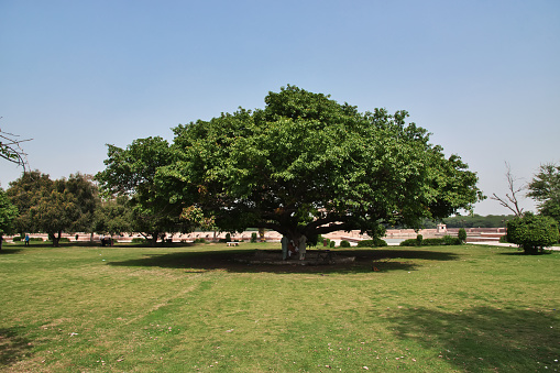 Hiran Minar complex in Sheikhupura close Lahore, Pakistan