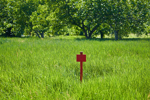 A bright red wooden plaque, from the inscriptions, stands on a field overgrown with tall grass.