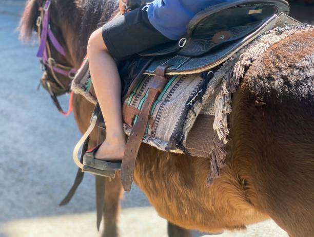 istock a person is riding a horse with a saddle. 1836781443
