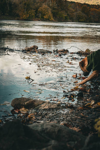 istock Dog playing in lake 1836789814