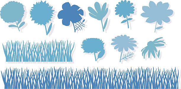 Flower- and Grasslandshapes. vector art illustration